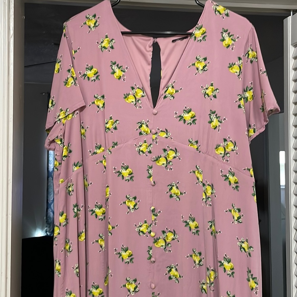 Pink dress with lemons. Originally from Torrid. I’ve worn it twice.